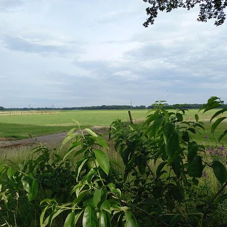 Thoefijzer Luxere Blokhutten 5 Pers En Mini Camping Zwiggelte Zewnętrze zdjęcie